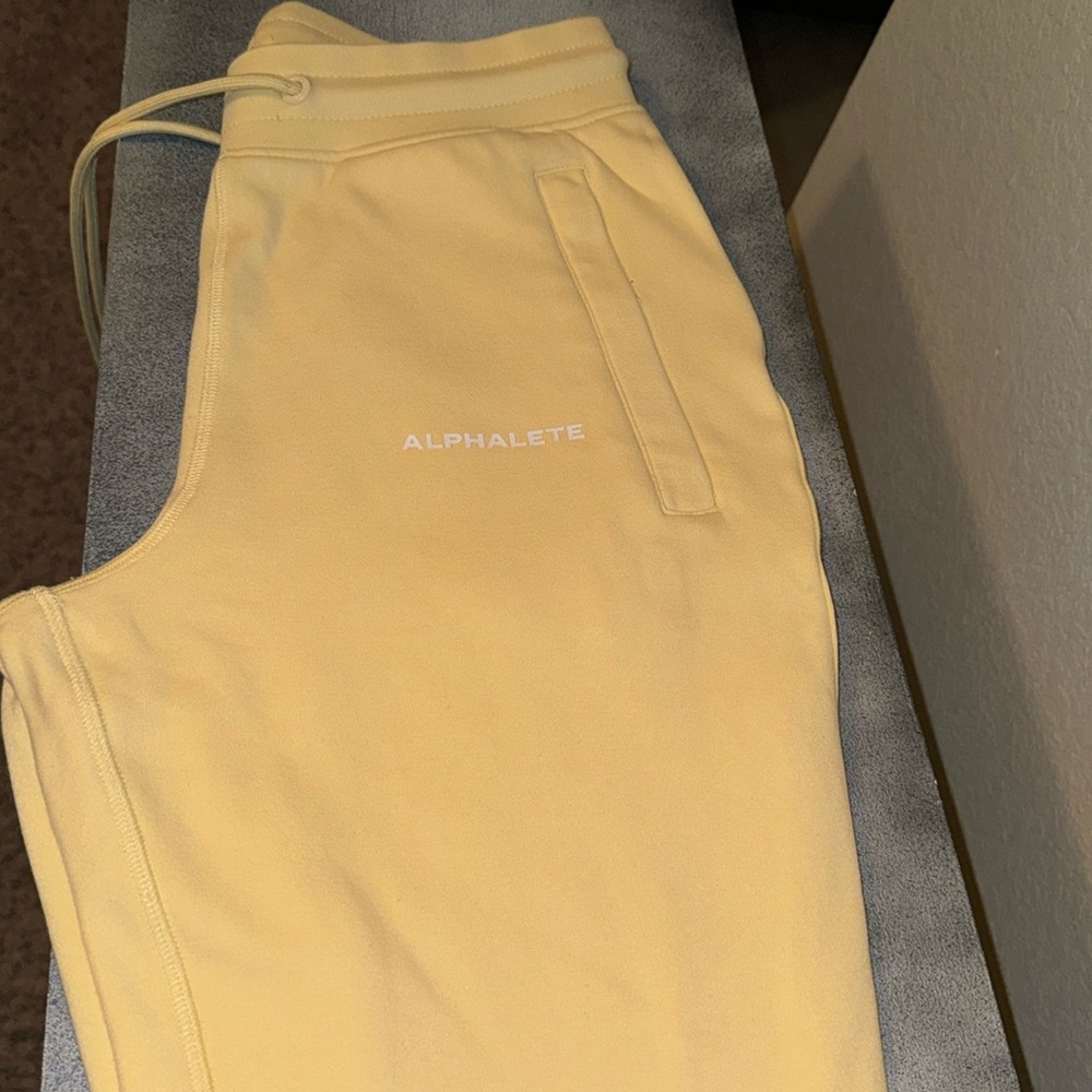 Size small brandnew alphalete joggers!